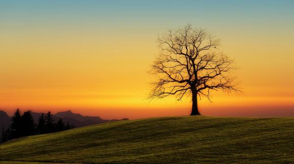 echinoctiul de toamna 2023 data la care incepe toamna astronomica anul acesta