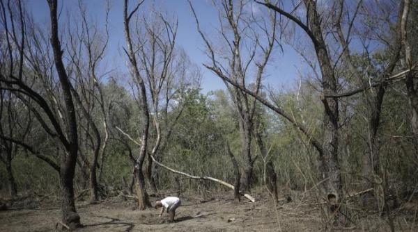 raed arafat 3 sfaturi importante pentru romanii care locuiesc la granita cu ucraina
