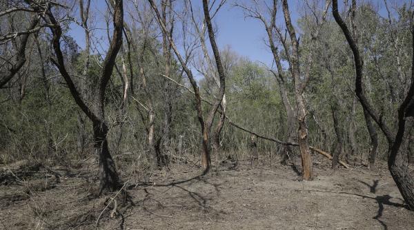 seful statului major al armatei convorbire cu comandatul fortelor aliate din europa despre resturile de drona din delta