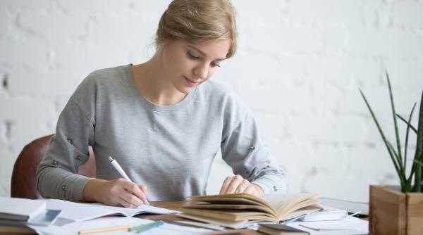 ce inseamna de fapt beizadea provine din turcescul beyzade