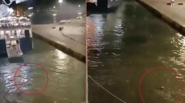 demisie din guvern in grecia dupa ce un tanar a fost aruncat de pe feribot si a murit ne a socat pe toti