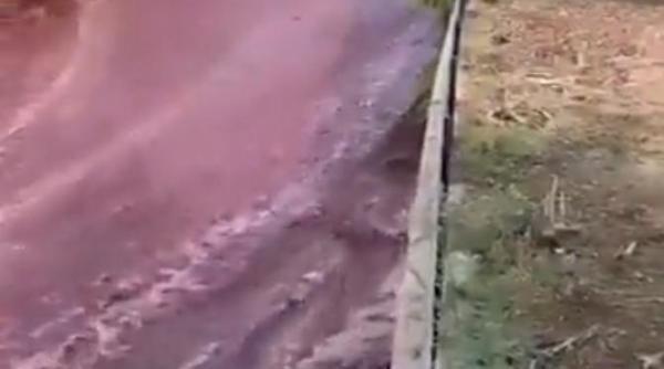 un sat a fost inundat cu vin rosu cum a fost posibil video