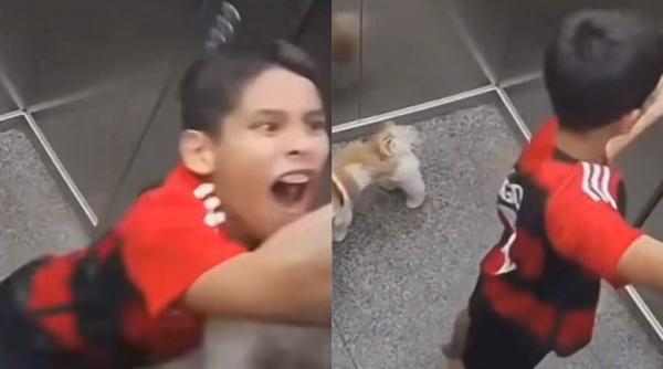 momentul cand un copil salveaza un caine prins in usile liftului micul erou a intervenit la secunda video