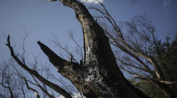 noi fragmente de drona descoperite in romania mae il va convoca de urgenta pe seful misiunii diplomatice a federatiei ruse