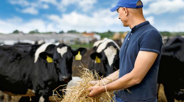 s a dat drept om de afaceri de succes pentru a insela mai multi fermieri vezi cate comenzi am suntem oameni seriosi