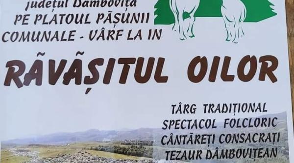 ravasitul oilor in varf la in in comuna runcu dambovita