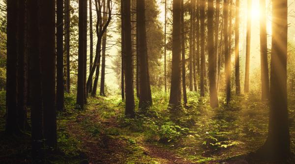 mercur nu mai este retrograd influenta pentru fiecare zodie pana pe 5 octombrie