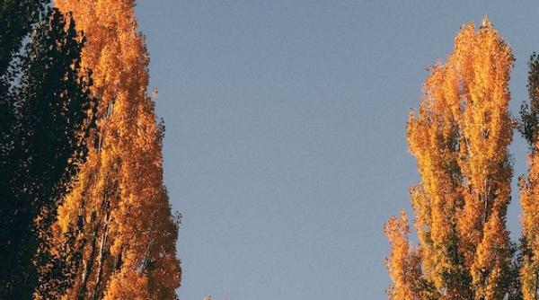 vremea pe o luna octombrie vine cu temperaturi ridicate prognoza meteo 18 septembrie 16 octombrie