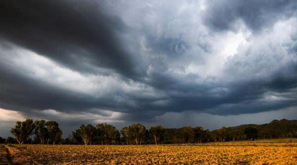 cod rosu de ploi in judetul constanta