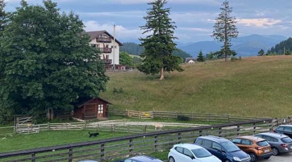 statiunile montane din romania un pericol pentru turisti interzis sa iesi din hotel dupa ora 22 00 unii insa nu vad sperietoarea ci atractia video