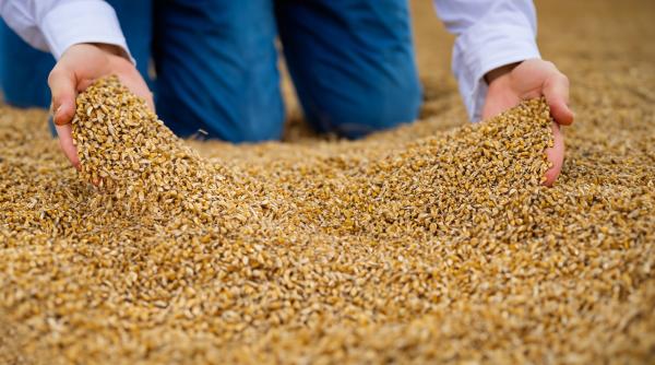 ue apel catre polonia ungaria si slovacia privind cerealele ucrainene