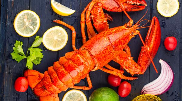 a cumparat un homar viu dintr un restaurant si apoi l a eliberat in mare