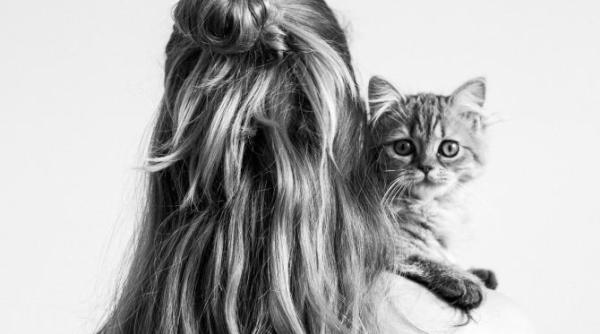 o romanca a fost arestata in italia pentru ca si ar fi amenintat iubitul ca i va ucide pisicile barbatul este manager la televiziunea rai