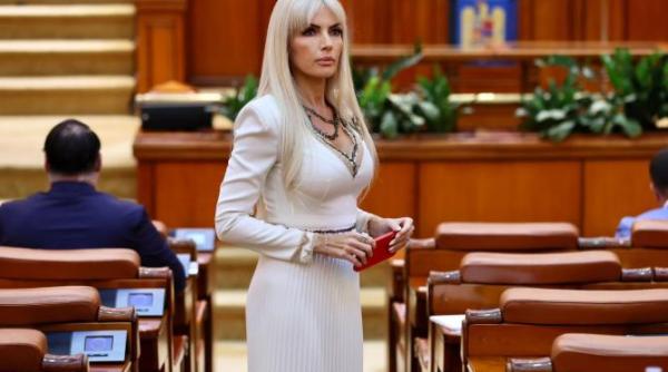 presedintele comisiei juridice din camera deputatilor laura vicol la culisele justitiei video