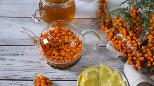 cum sa pui catina cu miere la borcan