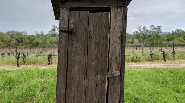 caz socant in vaslui o minora si ar fi omorat bebelusul nou nascut si l a aruncat in wc ul din curte