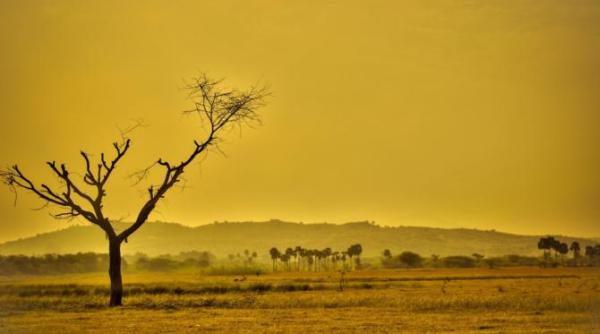 onu cere masuri pentru oprirea crizei climatice spune ca devine o criza de sanatate publica