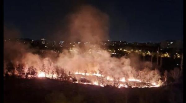 mai sunt carti de jucat in instanta pentru parcul ior nicusor dan anunta ca da se poate face