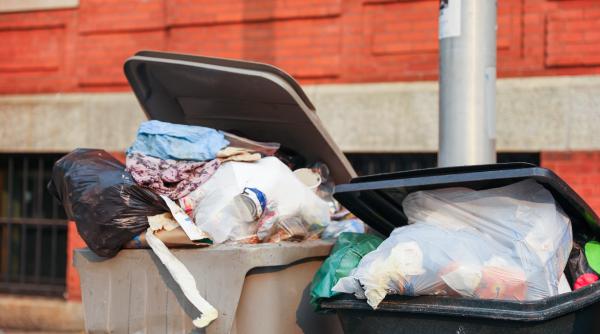 un caine maidanez a salvat un bebelus abandonat intr un sac de gunoi