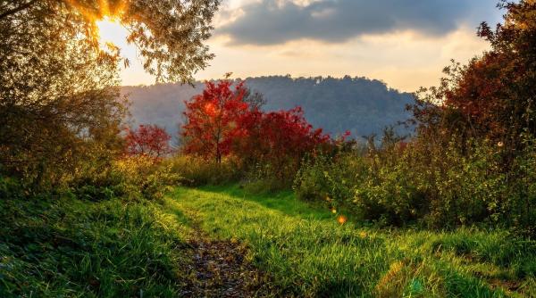 cat timp ne vom mai bucura de vremea frumoasa alina serban anm temperaturi de 35 36 de grade