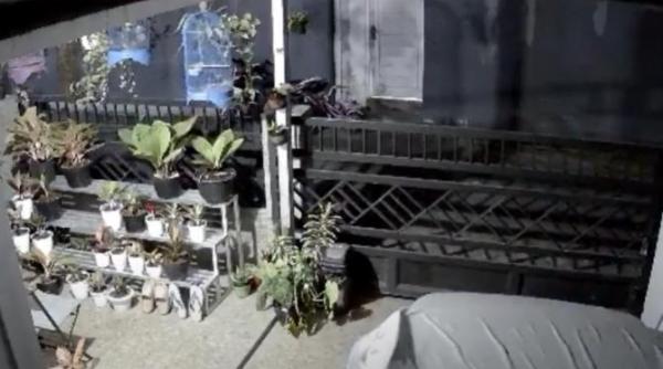 indonezia este lovita de o serie de cutremure astazi a avut loc un cutremur cu magnitudine 6 3 video