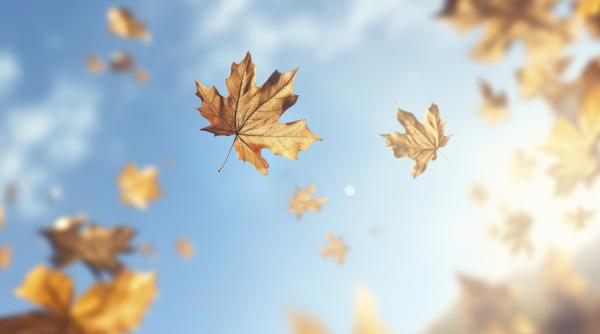 vremea pana la jumatatea lunii octombrie elena mateescu anm prognoza pe urmatoarele saptamani