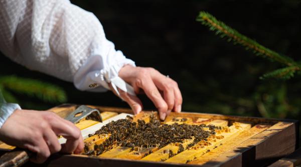 cum se falsifica mierea din china care ajunge la vanzare in romania nici laboratoarele n o pot depista