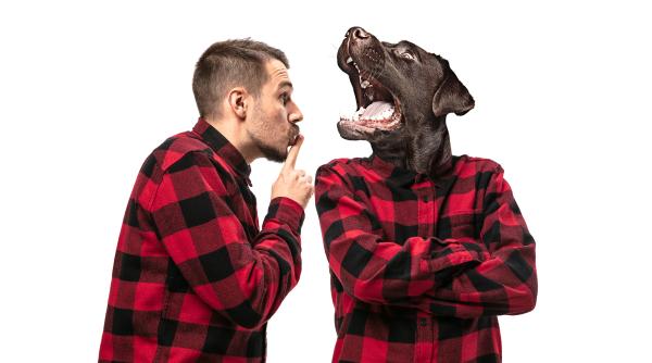 stiinta confirma cainii pot recunoaste oamenii rai