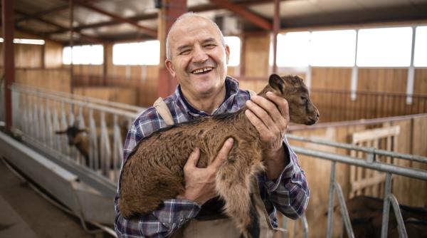 ai animale iata cum poti obtine fonduri europene pentru ferma ta