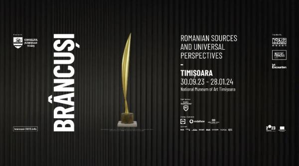 tm2023 evenimentele saptamanii din cadrul programului timisoara capitala europeana a culturii weekendul mult asteptat a sosit se deschide expozitia constantin brancusi