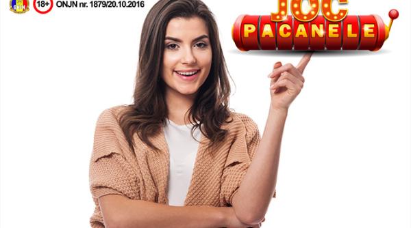 5 lucruri despre gambling pe care le poti invata de la cainele tau