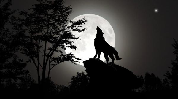 efectele lunii pline asupra organismului cum sa te feresti de influente