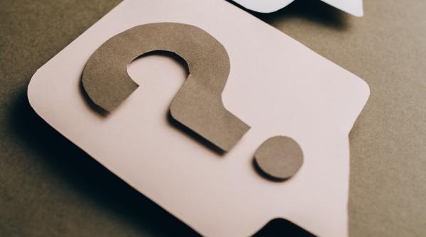 cel mai bogat aliment in omega 3 beneficii uimitoare