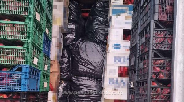 circa 4 tone de tutun vrac ascunse dupa cutii cu ardei capia gasite de garda de coasta foto