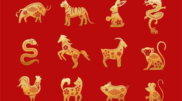 horoscop chinezesc previziuni pana in februarie 2024 zodia care va castiga multi bani video