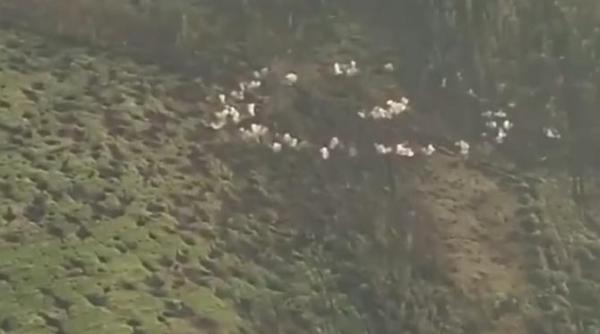 imagini din razboi cum arata un bombardament cu munitii cu dispersie video