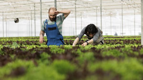 sindicatele germane cer protectie pentru sezonierii romani conditiile de lucru si de cazare adesea necorespunzatoare