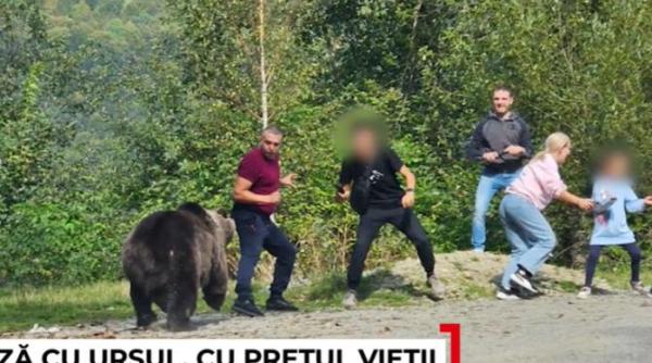 o sedinta foto cu ursul era sa i coste viata pe mai multi turisti de pe transfagarasan