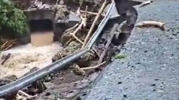 cod rosu in caraibe furtuna philippe loveste arhipelagul video