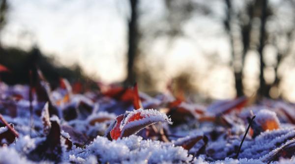primul ger din aceasta toamna unde a fost inregistrata azi dimineata o temperatura negativa