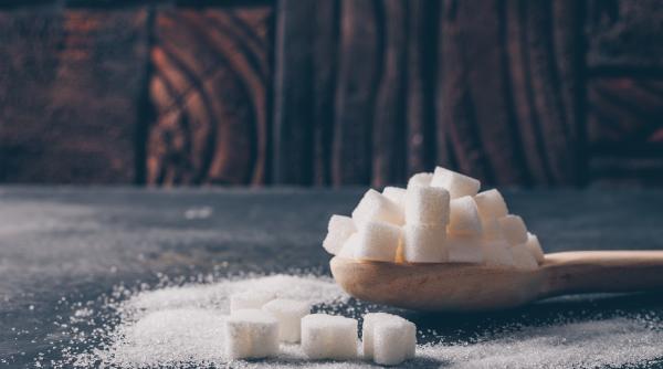 fabrica de zahar de la ludus a fost repornita video