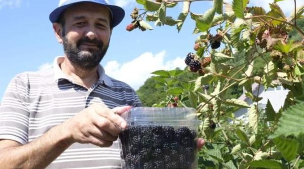 in bistrita e ca la madrid roman intors in tara dupa 20 de ani uimit de ce a gasit acasa oameni buni chiar s au schimbat lucrurile video