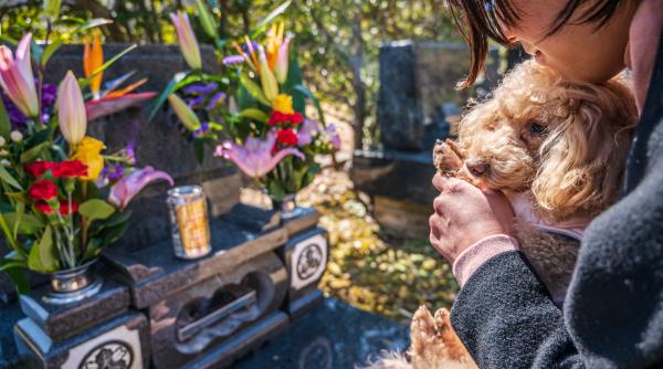 locuitorii din bruxelles vor putea fi inmormantati impreuna cu animalele de companie noi reguli si amenzi uriase