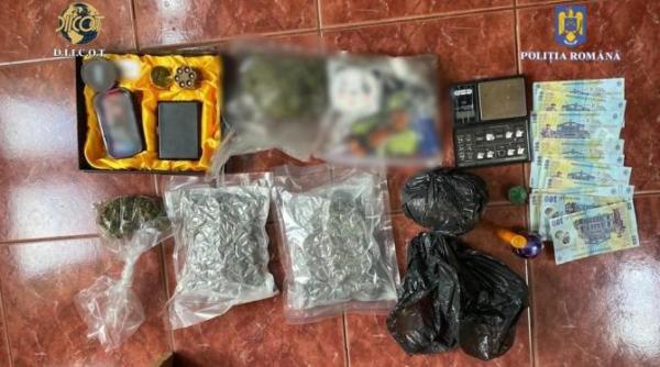 cultivator si traficant de canabis prins in flagrant de diicot foto