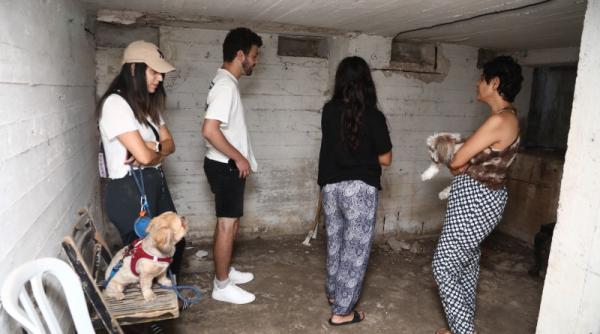 ambasadorul israelului la onu acuza hamas de comiterea de crime de razboi