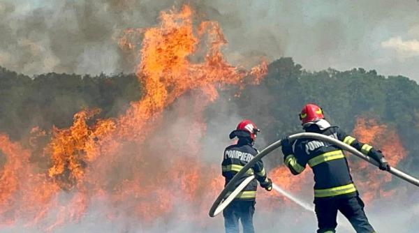 aproape 2 000 de hectare de teren afectate de arderile de vegetatie in numai trei zile ce amenzi risca cei care dau foc la vegetatia uscata