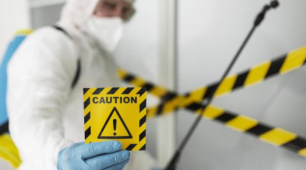 capitala este invadata de plosnite bucurestenii sunt exasperati m au bagat in depresie