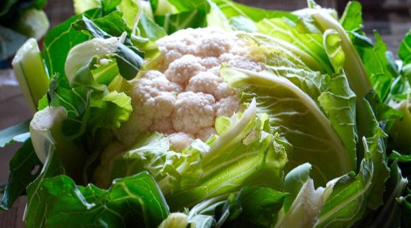 conopida la cuptor dr mihail pautov o optiune excelenta in dietele de slabire