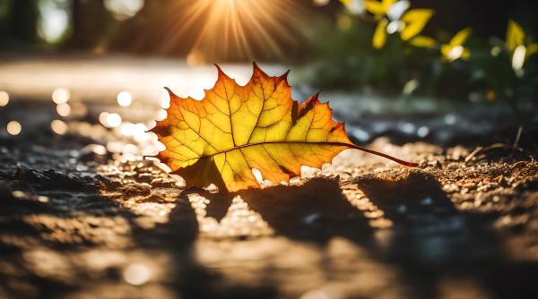 vremea se incalzeste usor ziua meteologogii avertizeaza ca vom avea temperaturi si de 28 29 de grade