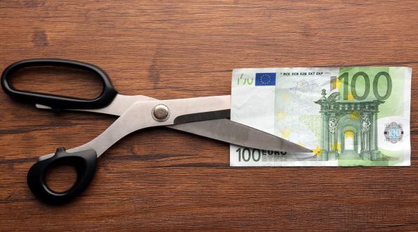 negrescu despre rectificarea bugetara negativa arata faptul ca bugetul a fost construit prost cu niste venituri supraestimate